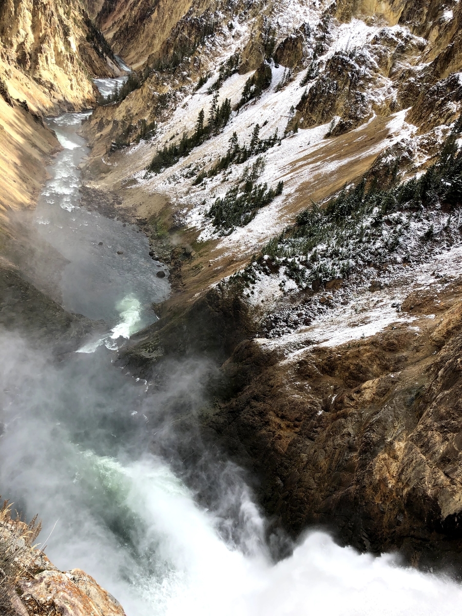 2025年版】イエローストーン観光最強モデルコース編〜実体験に基づいた