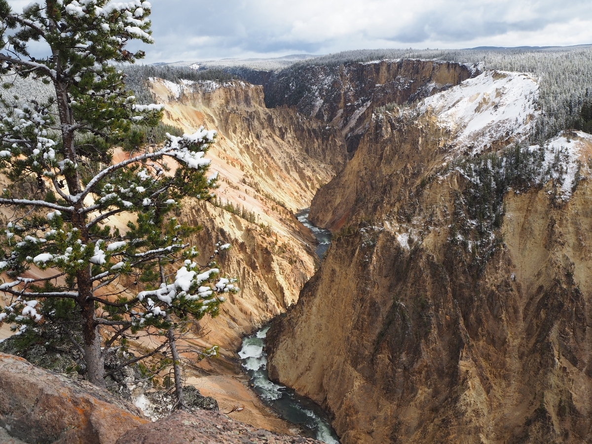 2025年版】イエローストーン観光最強モデルコース編〜実体験に基づいた