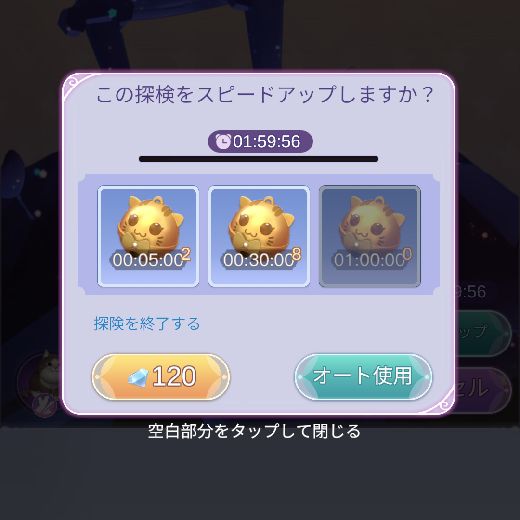 猫を探検に2回出す