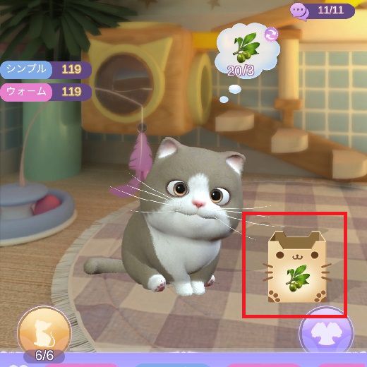 猫と5回交流する