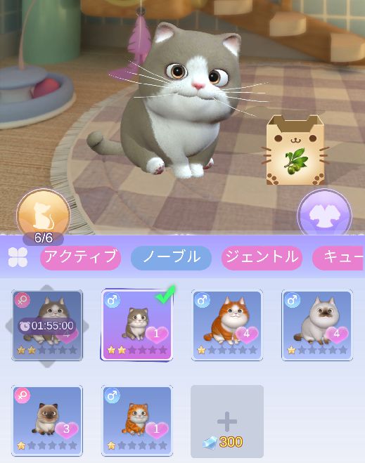 猫と5回交流する