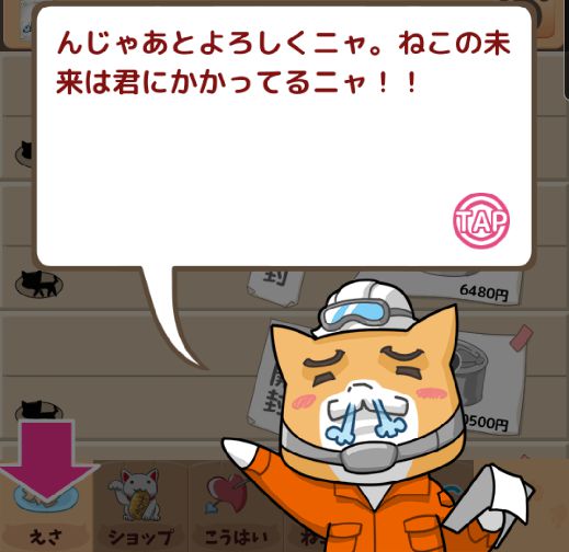 捨て猫レスキューの進め方