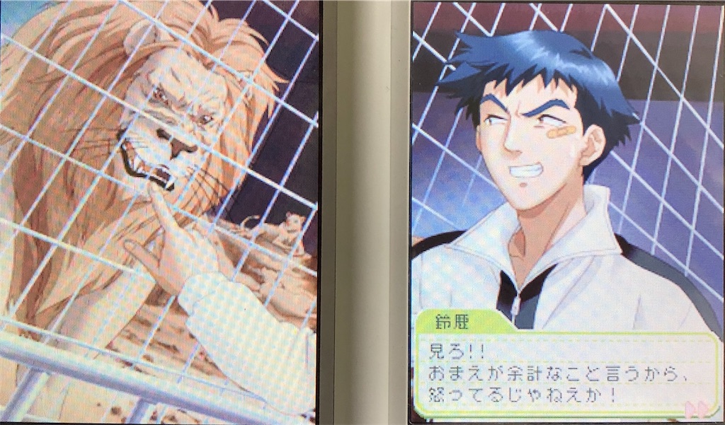 ときメモ GS1 クリスマス 葉月 鈴鹿 姫条 守村 三原 日比谷 鈴鹿 ときめきメモリアル Girl's Side 1st Love』クリスマス衣装の葉月珪