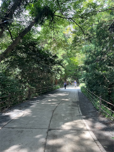 f:id:yumchaaan:20260824123129j:image