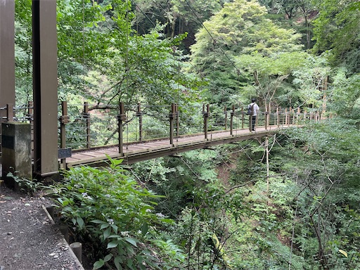 f:id:yumchaaan:20260824123134j:image