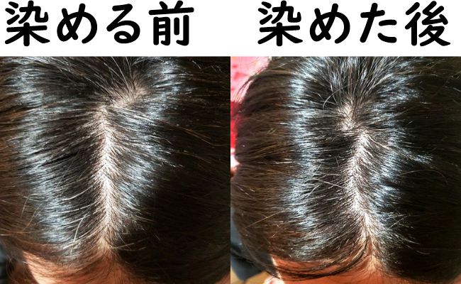 染まる前と染めた後の写真