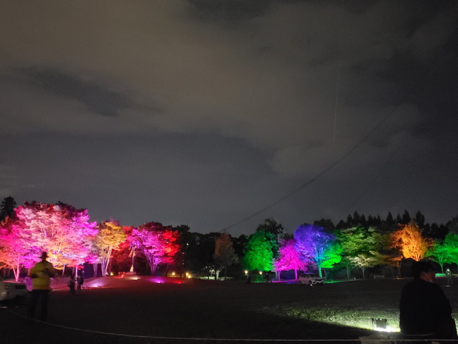 光のページェントは単色ですが、七北田公園のイルミネーションはカラフル