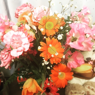 f:id:yume_hime:20170324204912j:plain f:id:yume_hime:20170324204912j:plain