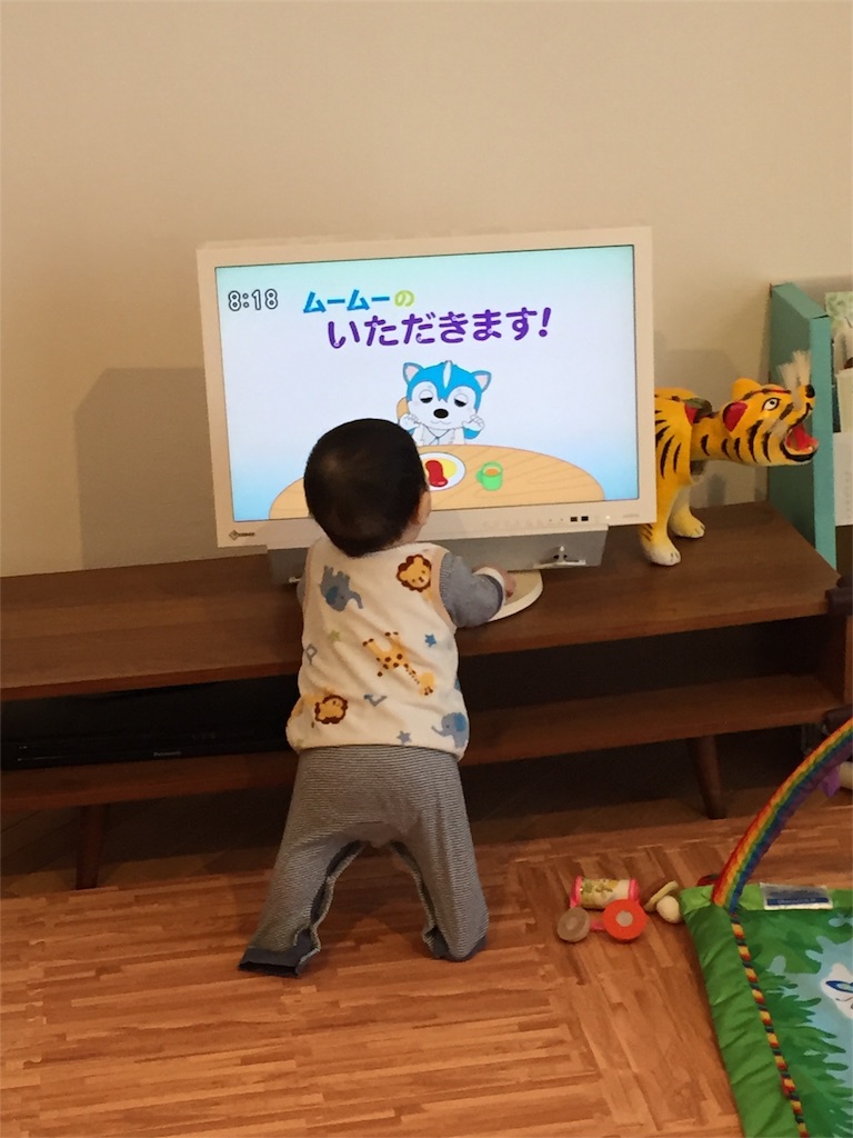 9ヶ月:ガラピコプーに釘付け - you成長記録