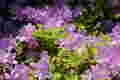 20250504110111
