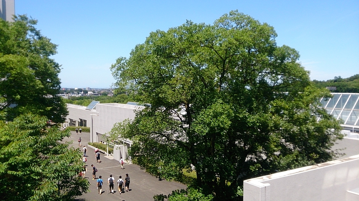 f:id:yumehebo:20201219194452j:plain