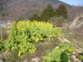 20160206200124