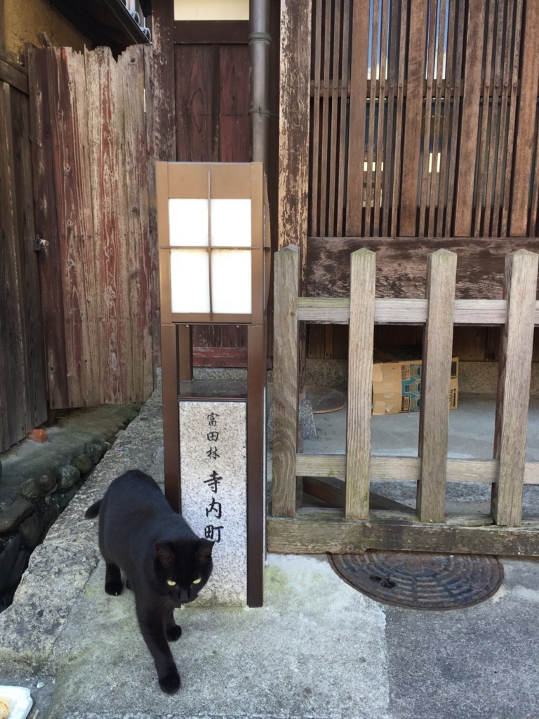 f:id:yumejitsugen1:20161109121906j:plain