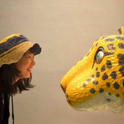 f:id:yumejitsugen1:20161120175602j:plain f:id:yumejitsugen1:20161120175602j:plain