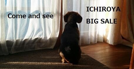 f:id:yumejitsugen1:20161202165844j:plain f:id:yumejitsugen1:20161202165844j:plain