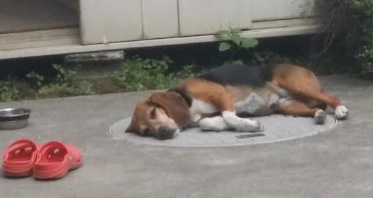 f:id:yumejitsugen1:20170224172146j:plain f:id:yumejitsugen1:20170224172146j:plain