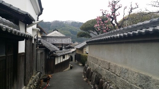 f:id:yumejitsugen1:20170320164102j:plain f:id:yumejitsugen1:20170320164102j:plain