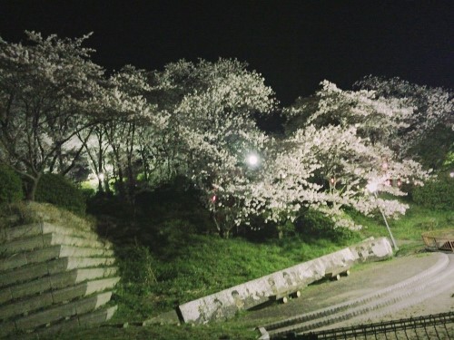 f:id:yumejitsugen1:20170322160306j:plain f:id:yumejitsugen1:20170322160306j:plain