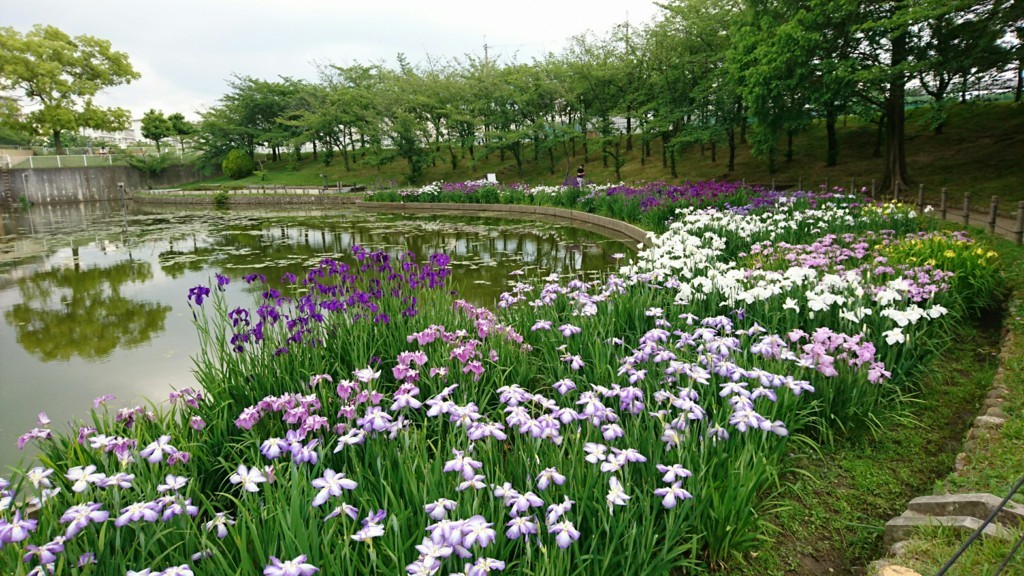 f:id:yumejitsugen1:20170625080654j:plain f:id:yumejitsugen1:20170625080654j:plain