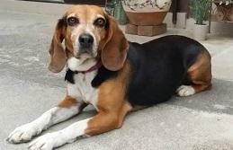 f:id:yumejitsugen1:20180121222932j:plain f:id:yumejitsugen1:20180121222932j:plain