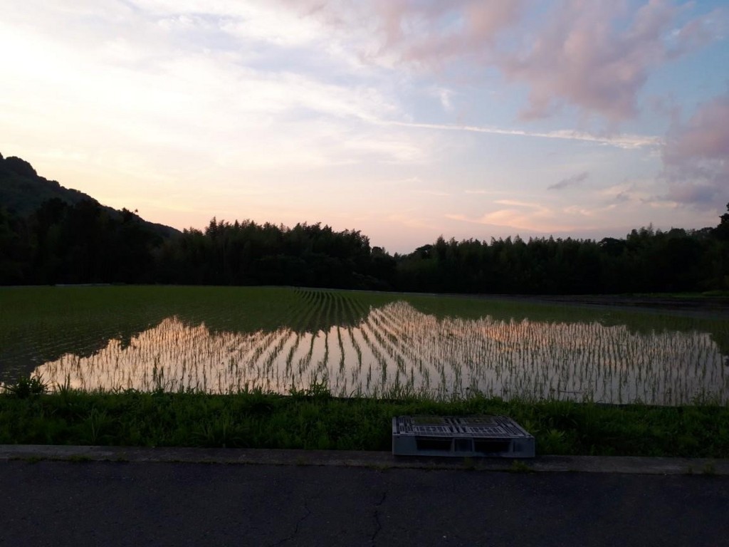f:id:yumejitsugen1:20180630181903j:plain