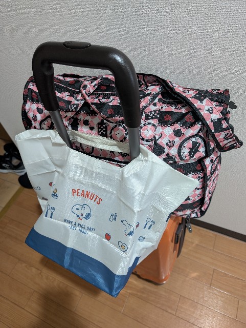 トラベルバッグ＆底板付きエコバッグ