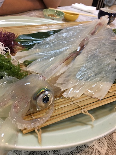 f:id:yumekamo4:20170507114927j:image f:id:yumekamo4:20170507114927j:image