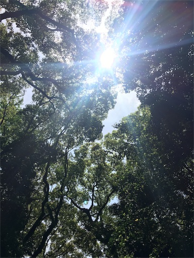 f:id:yumekamo4:20170507135000j:image f:id:yumekamo4:20170507135000j:image