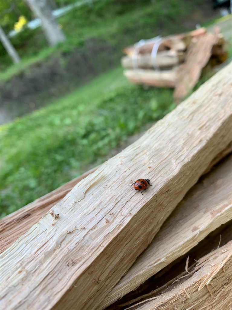 f:id:yumekamo4:20190531183913j:image f:id:yumekamo4:20190531183913j:image