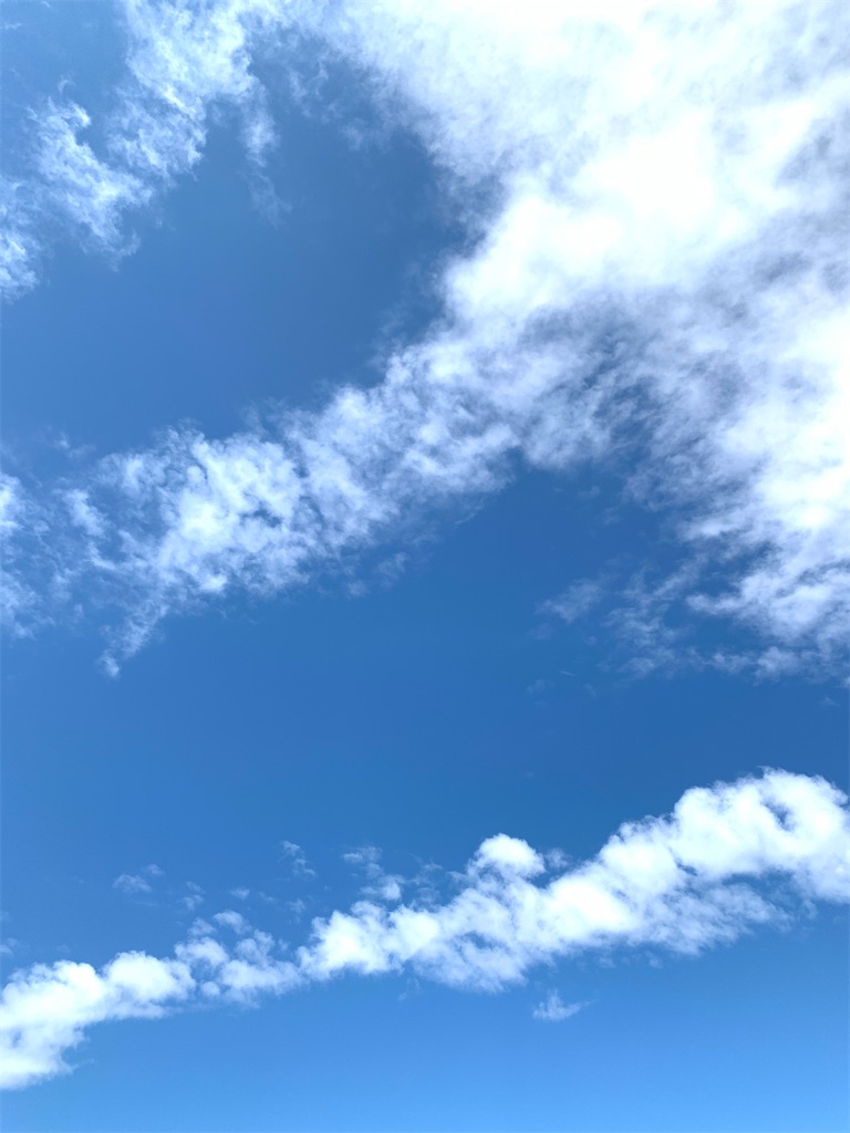 f:id:yumekamo4:20200424221754j:image f:id:yumekamo4:20200424221754j:image