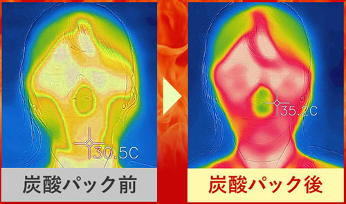 17skin使用前後の温度変化