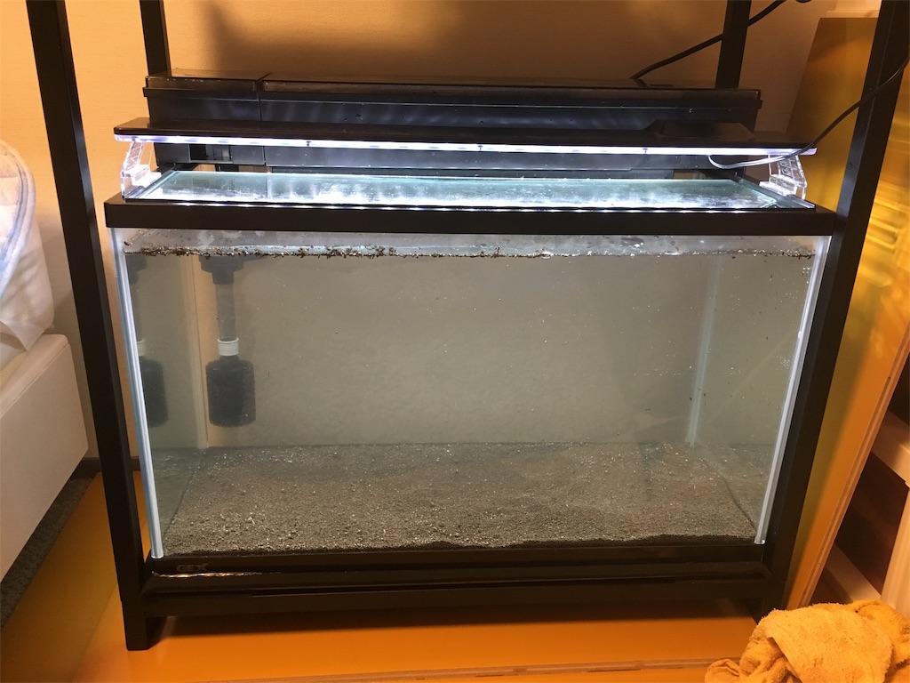 f:id:yumemiraitunagu:20190618174312j:plain f:id:yumemiraitunagu:20190618174312j:plain