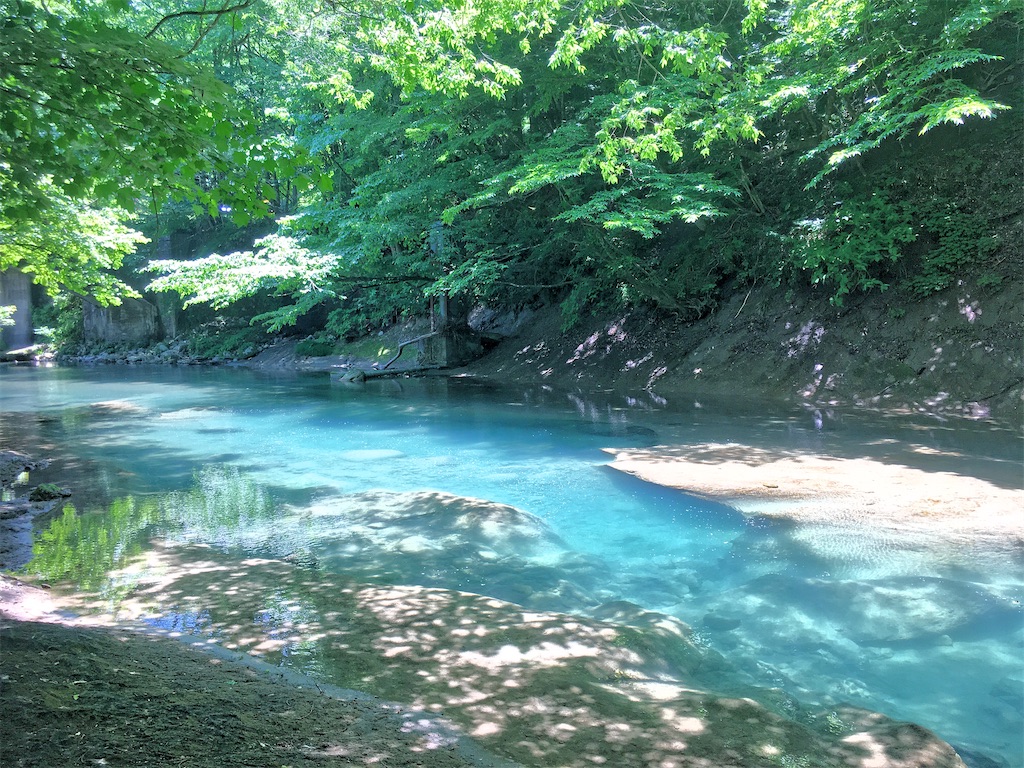 栃木の秘境で渓流釣り 天然ヤマメを求めて 某河川で山女と真剣勝負 たなごgo