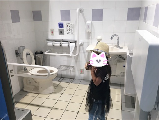 f:id:yumemiru58:20190907205128j:image