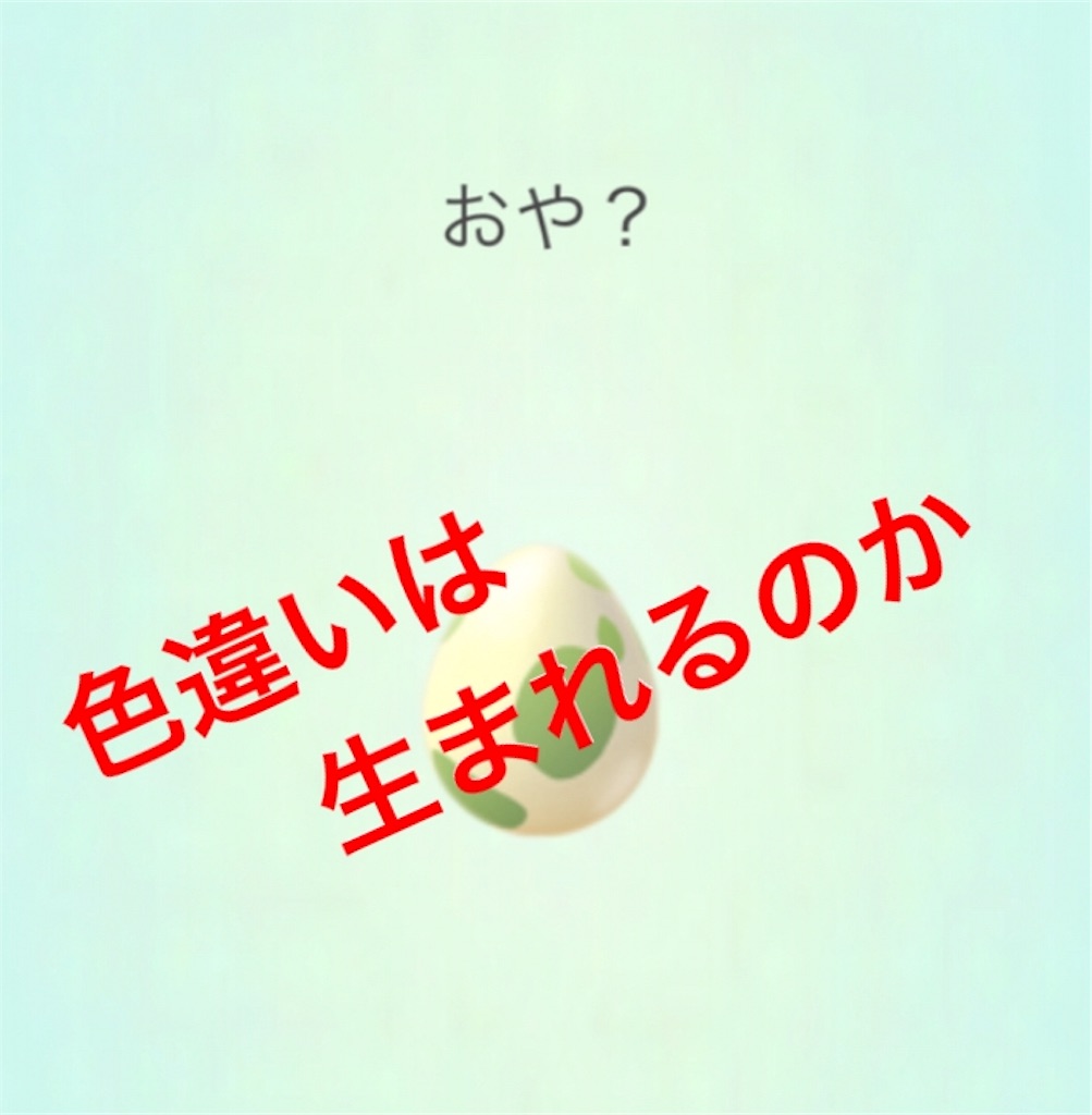 ポケモンgo 2kmタマゴを４個孵化させたら Momo Blog