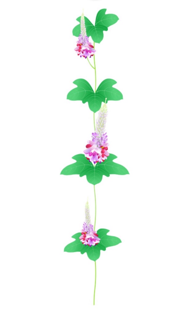 f:id:yumemiruwo:20190430104415j:image f:id:yumemiruwo:20190430104415j:image