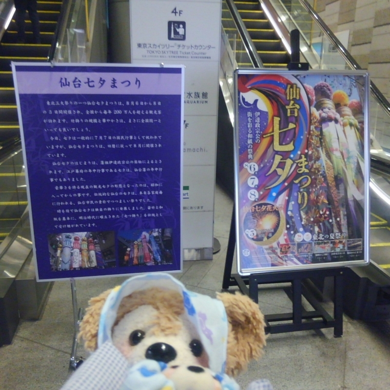 スカイツリー 七夕 のたび うみが好きなくま