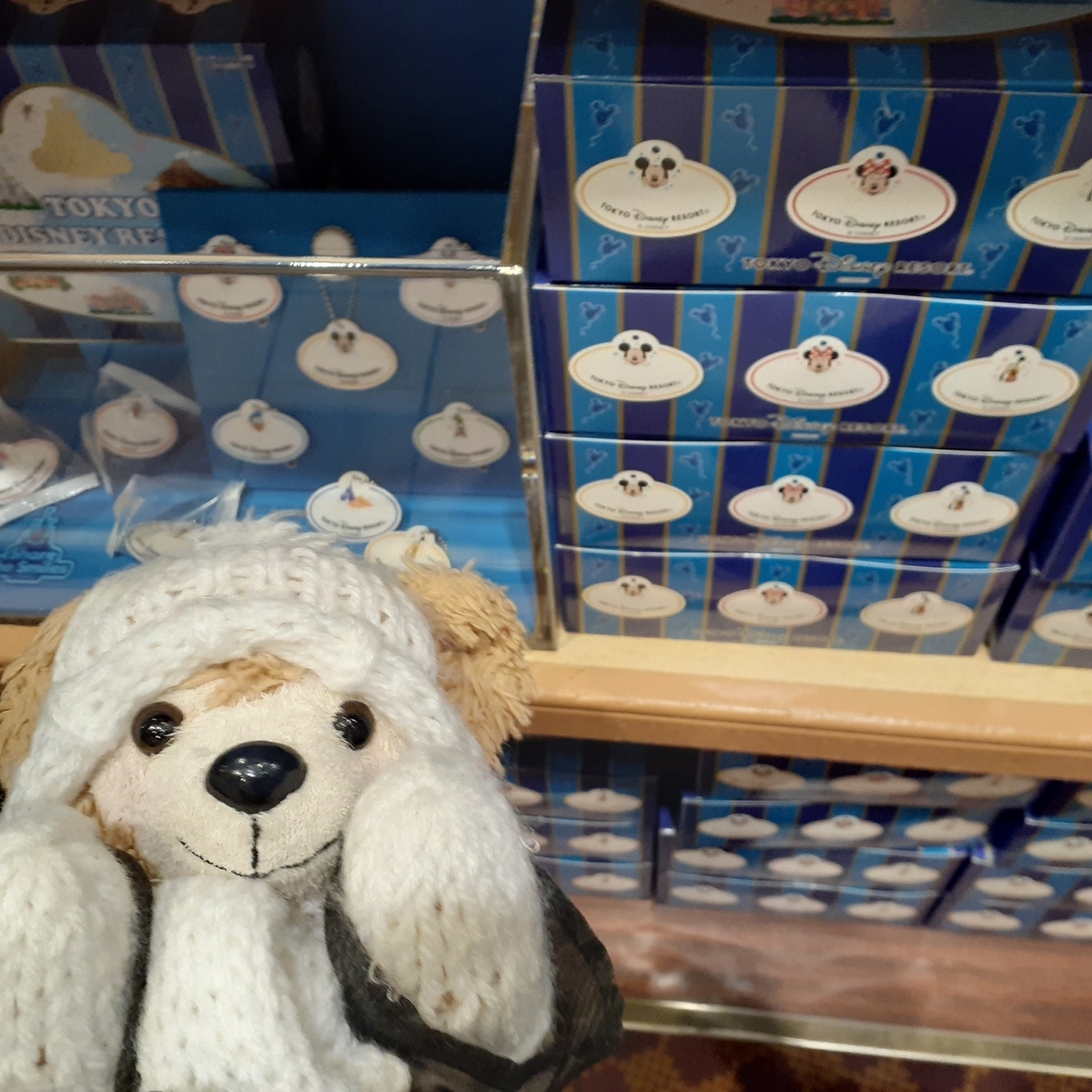 ボンボヤージュ ネームプレート Tdr うみが好きなくま