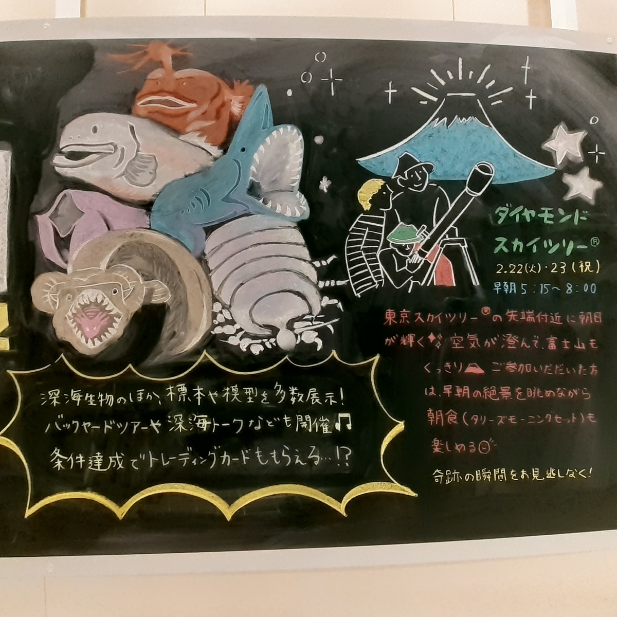 サンシャイン 黒板アート うみが好きなくま