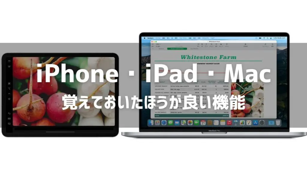 【iOS・iPad OS・macOS】覚えておいたほうが良い機能まとめ
