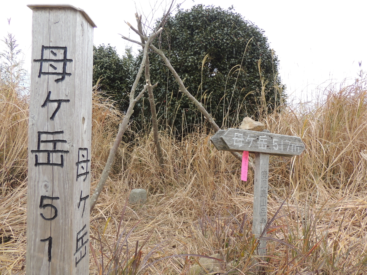 f:id:yumepikakun:20220123181256j:plain