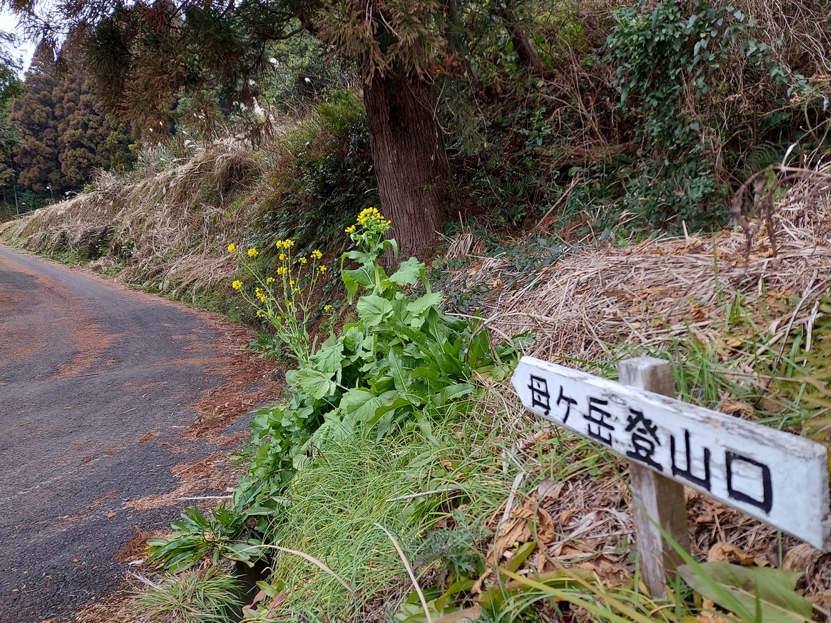 f:id:yumepikakun:20220130185445j:plain