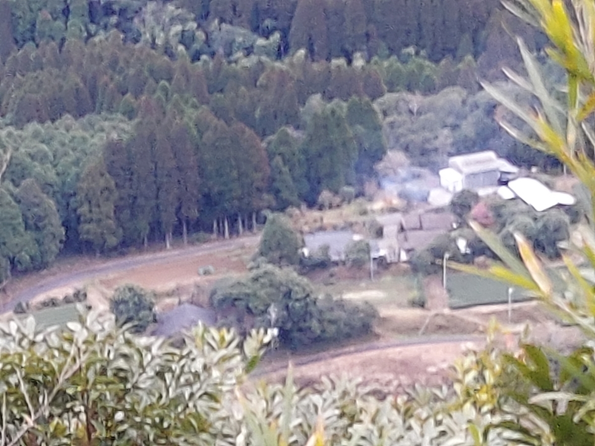 f:id:yumepikakun:20220130190134j:plain