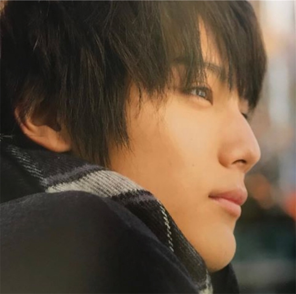 f:id:yumeshosetsuol:20190213213425j:image f:id:yumeshosetsuol:20190213213425j:image