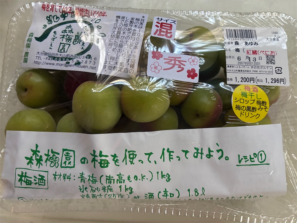f:id:yumetonbo:20260617073155j:image