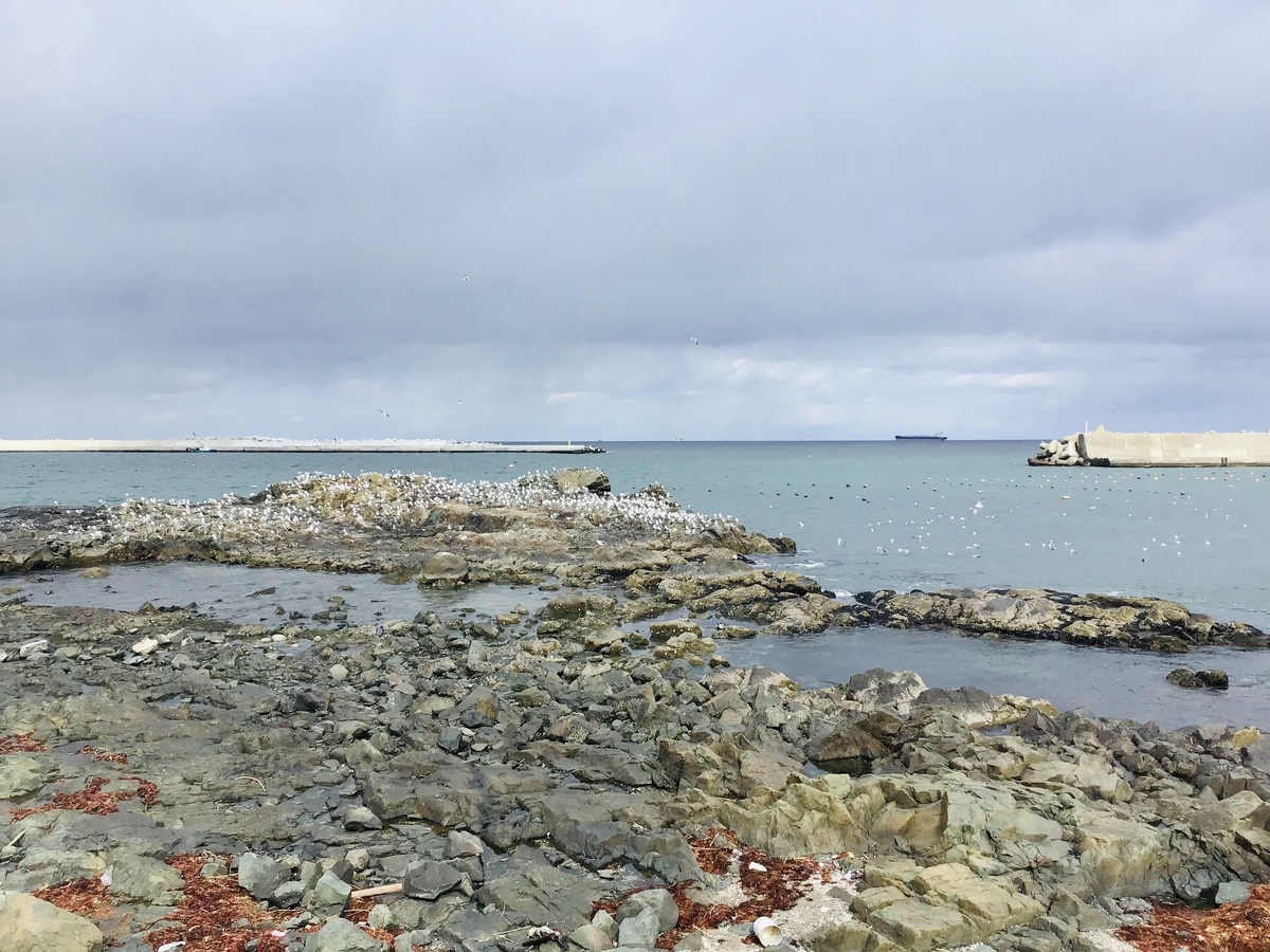 f:id:yumeusagiyukiusagi:20200301104441j:plain