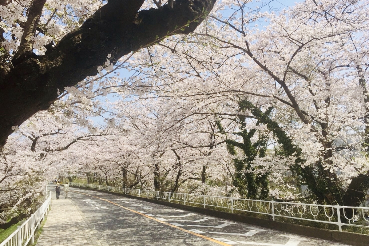 f:id:yumeusagiyukiusagi:20200520103419j:plain f:id:yumeusagiyukiusagi:20200520103419j:plain