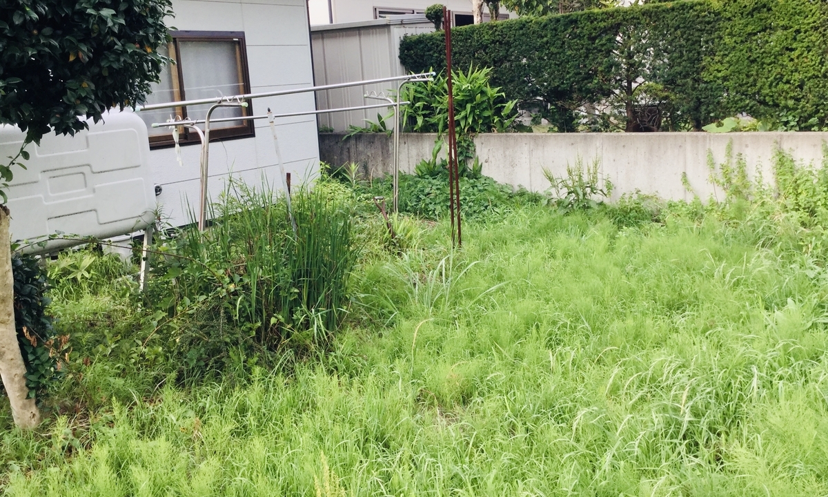 f:id:yumeusagiyukiusagi:20200529122950j:plain f:id:yumeusagiyukiusagi:20200529122950j:plain