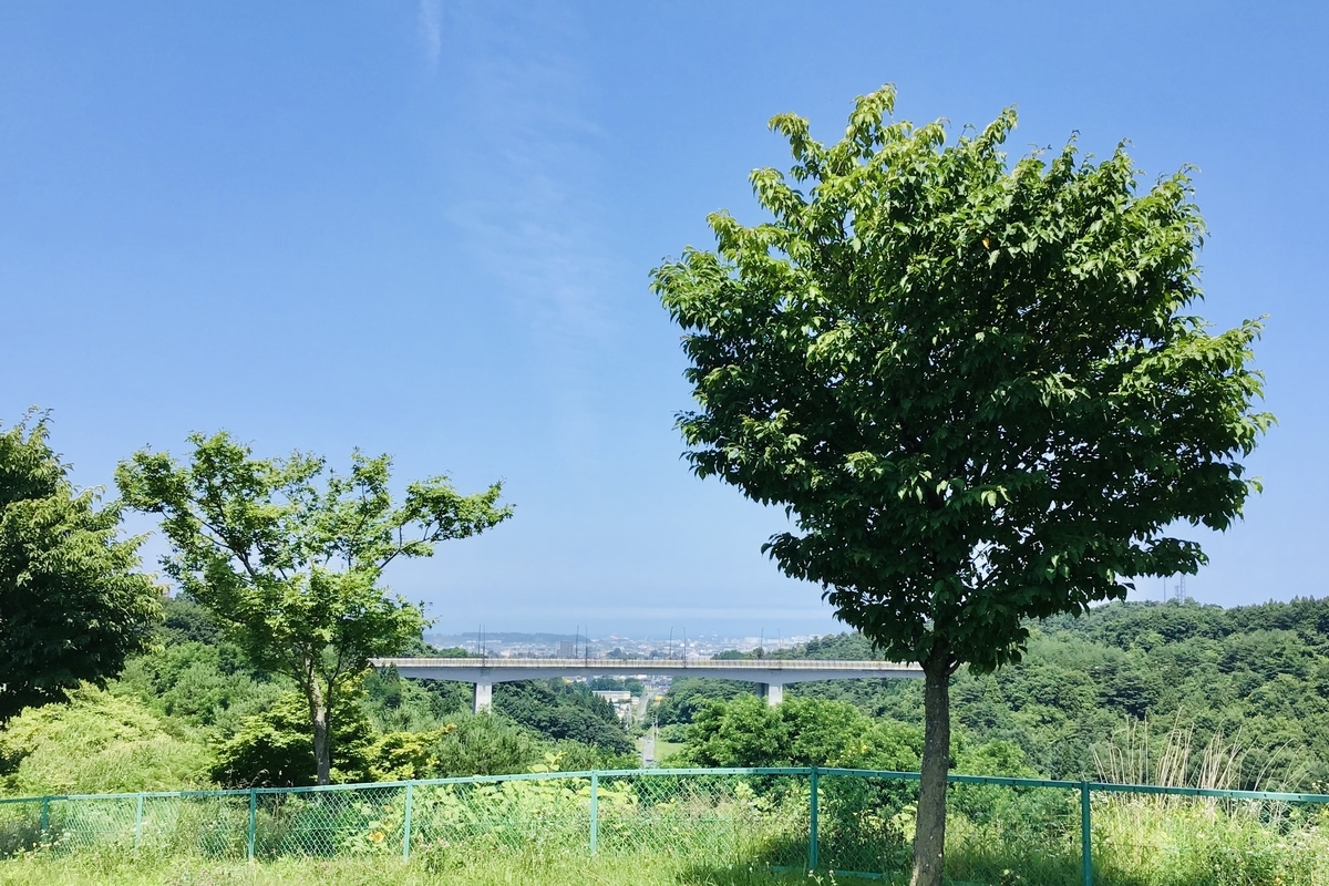 f:id:yumeusagiyukiusagi:20200721101853j:plain