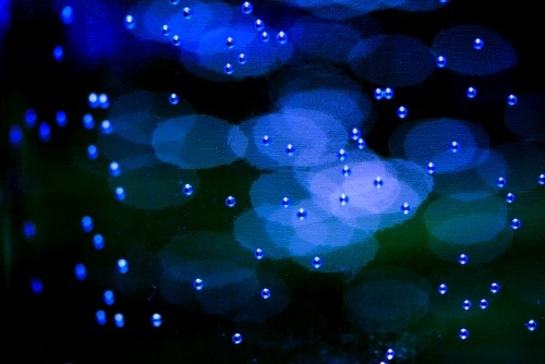 f:id:yumi-fields:20170618194922j:image f:id:yumi-fields:20170618194922j:image